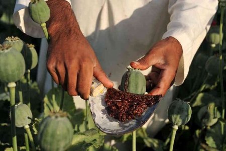 Astara sakini 1 kq-dan çox narkotik vasitəni satarkən tutulub