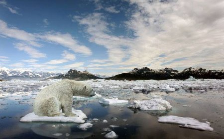 Dünya üçün TƏHLÜKƏ: Antarktida yarıldı - GÖRÜNTÜLƏR