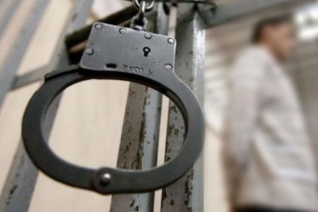 "Şəfa broyler"in satış meneceri məhkəmə zalından azadlığa buraxıldı