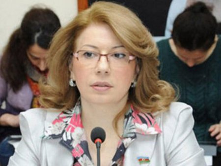 "Azərbaycanın böyük təcrübəsi Avropa dövlətləri üçün nümünədir"