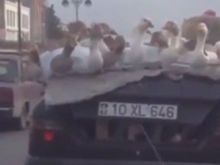 Bu görüntülər Bakıda çəkildi - Dünyanın bir çox televiziyaları yayımladı - VİDEO