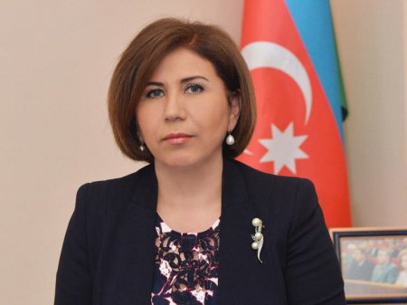 Bahar Muradova Türkiyədəki referendumdan DANIŞDI