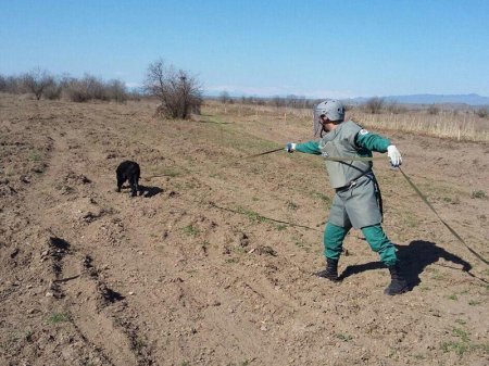 Macarıstan Azərbaycana 100 min avro ayırdı