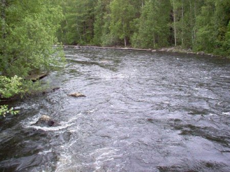 İntensiv yağışlar çayların daşma təhlükəsini artırdı
