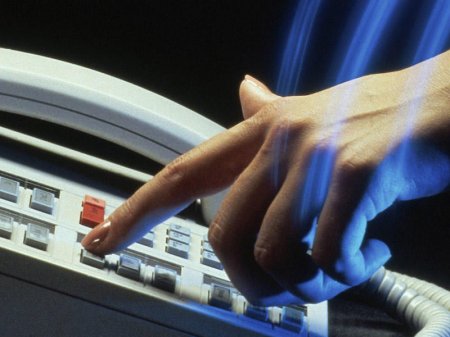 AMEA-da "Qaynar xətt" yaradılacaq