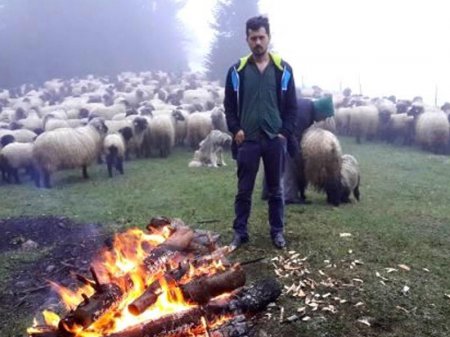 Yayda yaylağa, qışda qışlağa köçənlər - elm, texnologiya onlara lazımdırmı?..