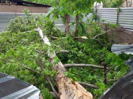 Azərbaycan rayonlarında şiddətli külək və aramsız yağışlar: ölən var - FOTO