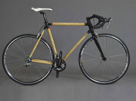 Toxunmuş bambukdan velosiped - FOTO