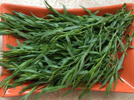 Stress, nevroz zamanı TƏRXUN DƏMLƏMƏSİ