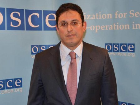 Avstriya Bakıda azad ticarət zonasına böyük maraq göstərir