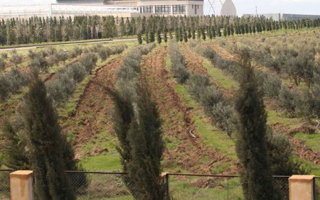 Dövlət qurumundan palataya - Cavab