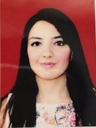Müasir dövrdə əldə olunan bütün uğurların əsasında Ulu Öndər Heydər Əliyevin müəyyən etdiyi strateji inkişaf xətti dayanır
