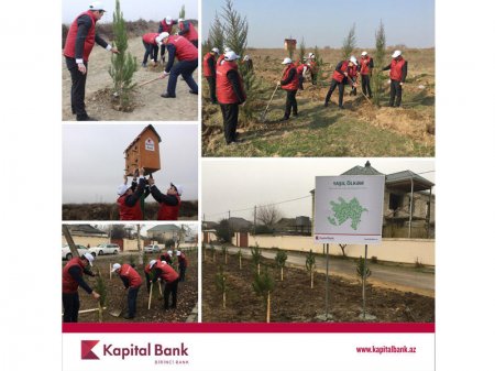 Kapital Bank "Yaşıl ölkəm" aksiyasını davam etdirir